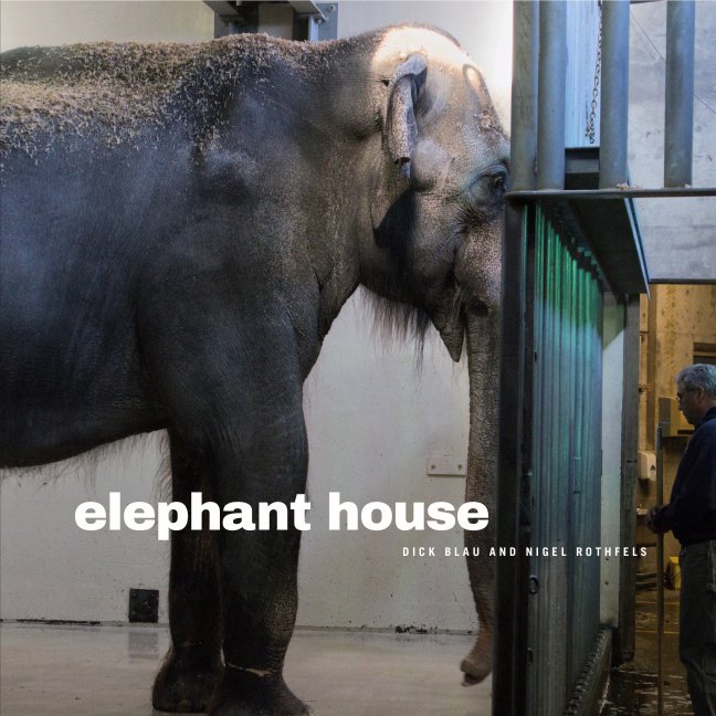 elephanthouse.jpg.jpe