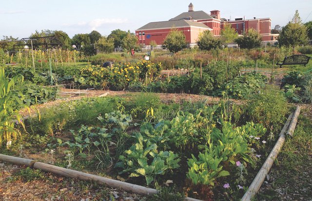 Turning Milwaukee Into A Garden Shepherd Express