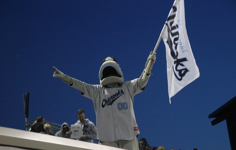 Lakeshore Chinooks Baseball - Our sixth and final bobblehead giveaway for  the 2022 season and our 10th anniversary celebration will be of former  Chinooks owner and Milwaukee baseball legend, Bob Uecker. The