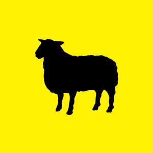 shepherd logo.jpg.jpe