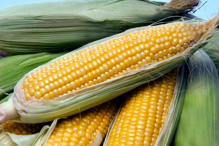 corn+on+the+cob.jpg.jpe