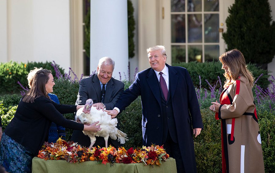 Trump_Thanksgiving(ByAmyRossetti).jpg