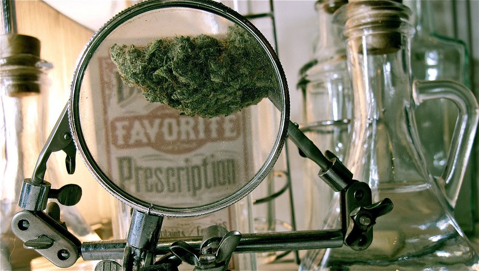 Cannabis_Two.jpg