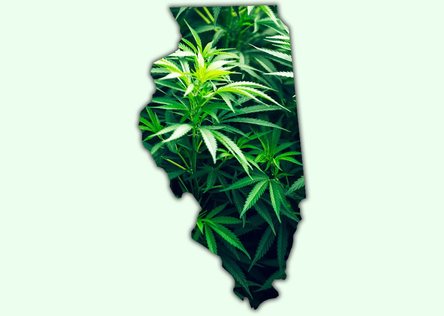CannabisTwo_Illinois.jpg
