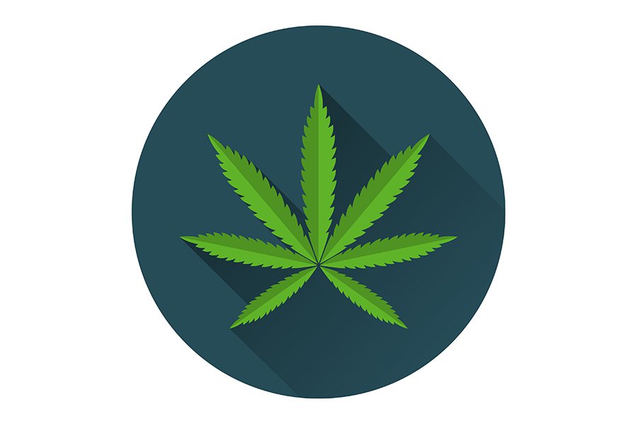 CannabisTwo_medicalmarijuana(Getty).jpg