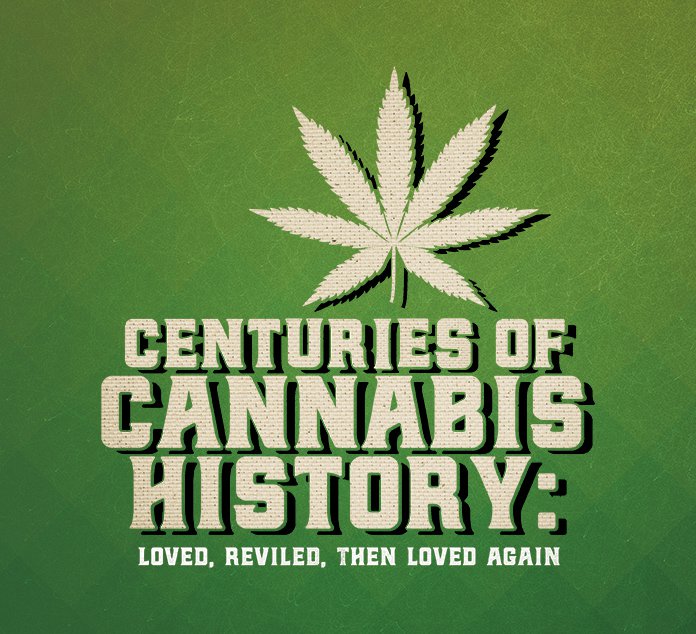 NewsOne_Cannabis.jpg
