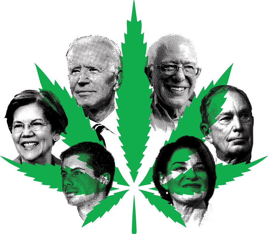 CannabisTwo_Candidates.jpg