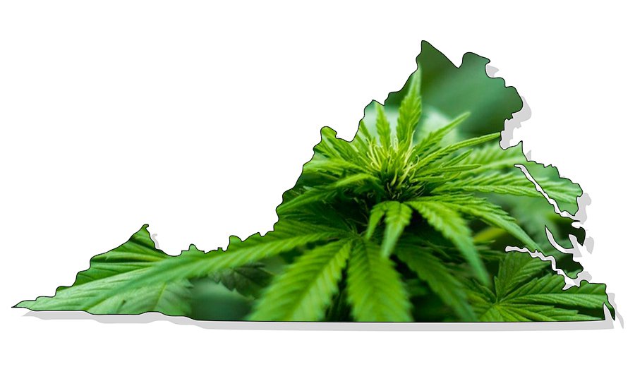 CannabisTwo_Virginia.jpg