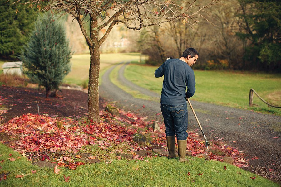 lifestyle_Domicile_Raking_(BryanRupp-iStock-Getty-Images-Plus-via-Getty-Images).jpg