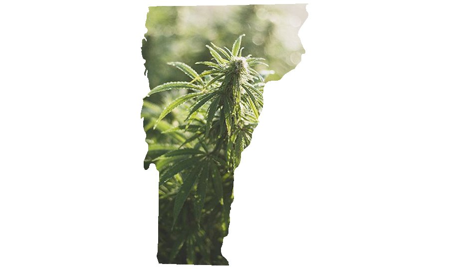 Cannabis_Vermont.jpg