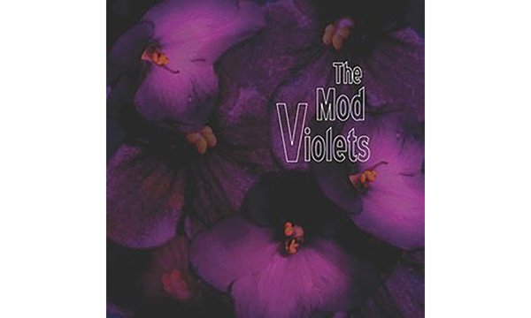 culture_This Month_Mod Violets.jpg