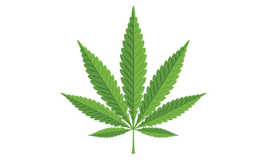CannabisOne_MarijuanaLegalization.jpg