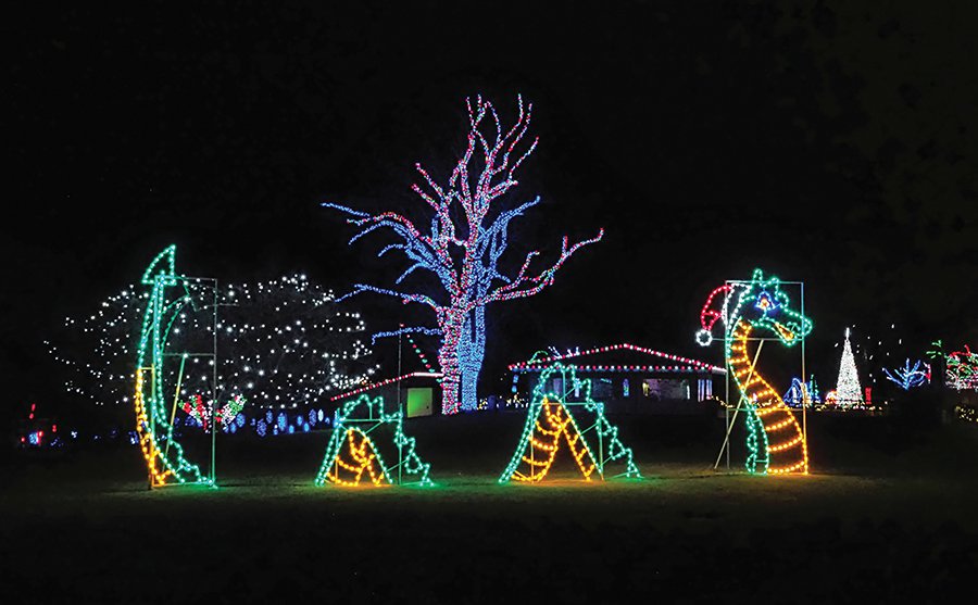 culture_This Month MKE_Wonderland of Lights(Racine Zoo).jpg