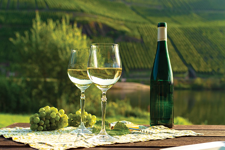 food-drink_Beverages_Riesling in Mosel River Valley in Germany (barmalini:Getty Images).jpg