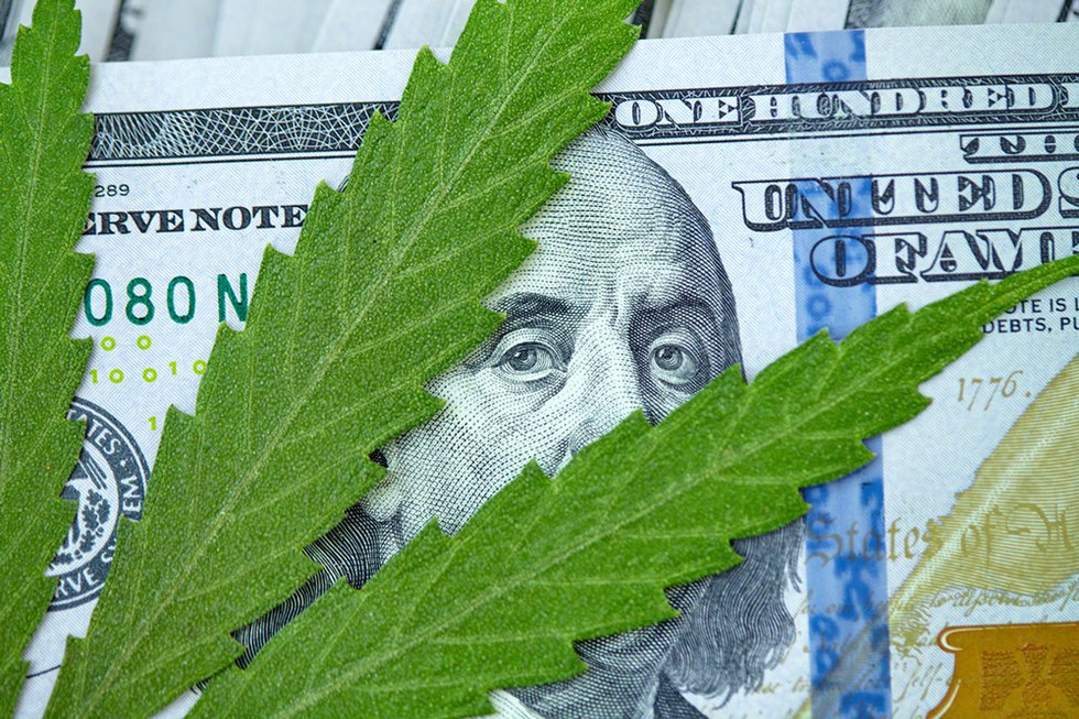 Cannabis leaf on $100 bill