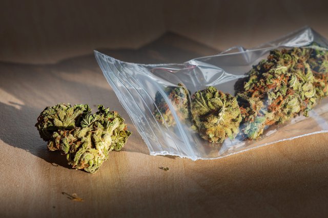Marijuana in bag