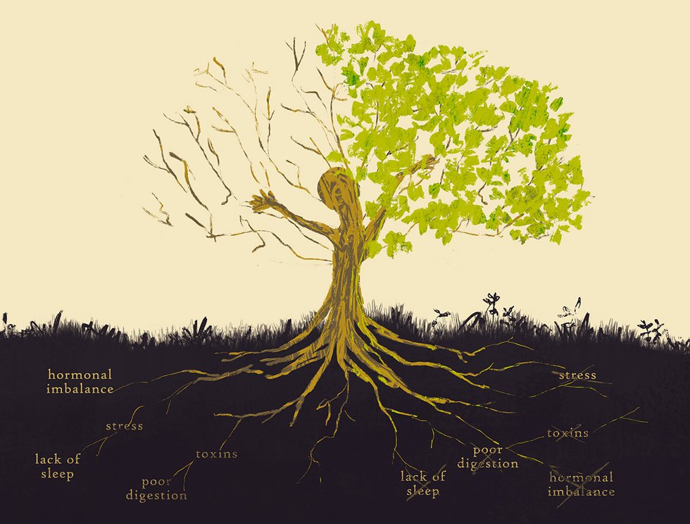 Functional Medicine tree