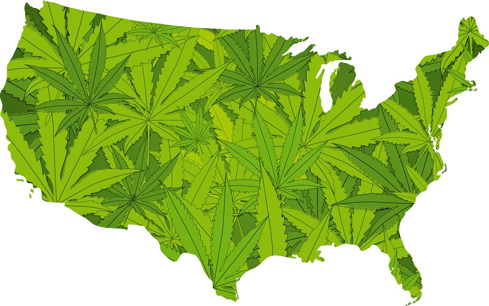 United States map with marijuana leaves