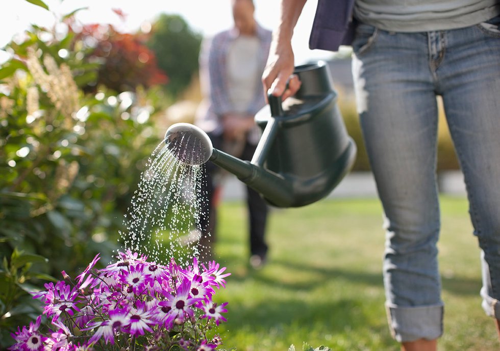 Watering flowers with watering can