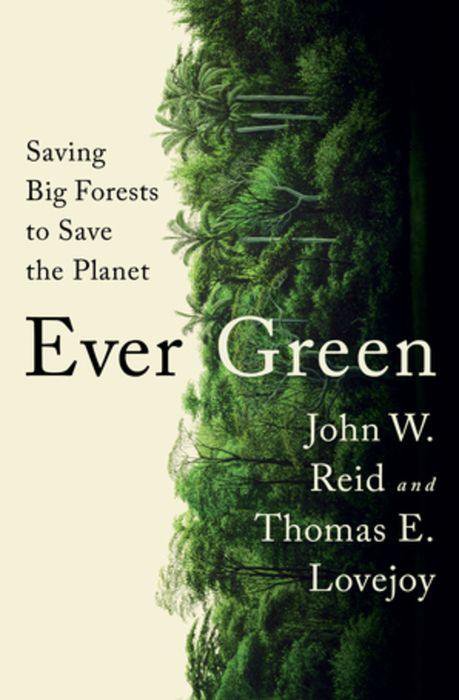 'Ever Green' by Reid and Lovejoy