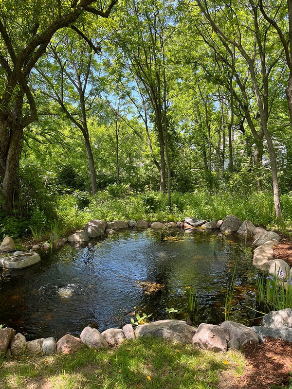 Garden Conservancy garden pond
