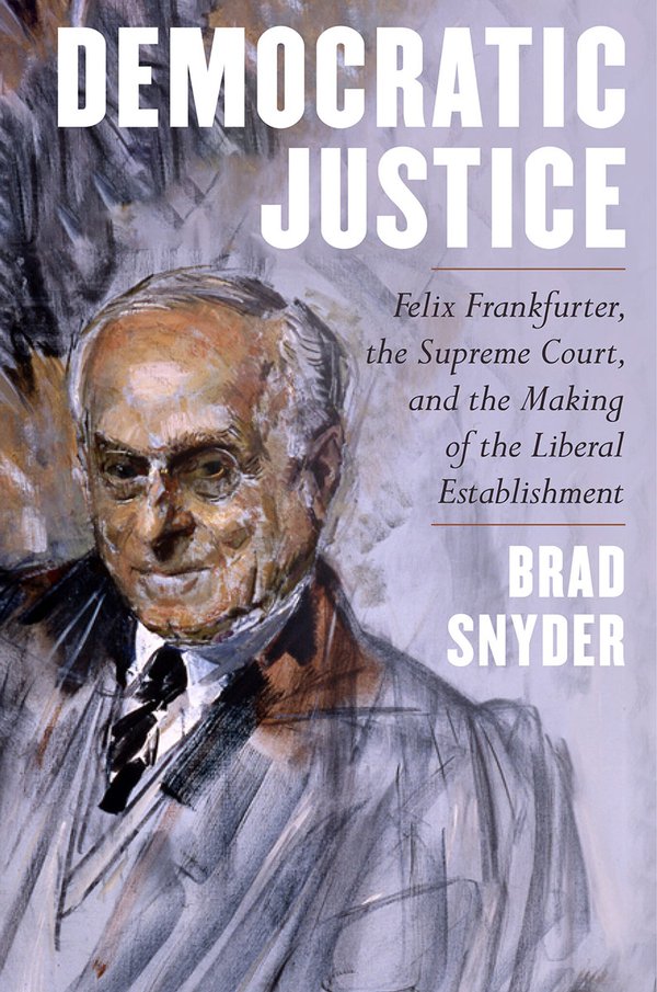 'Democratic Justice' by Brad Snyder