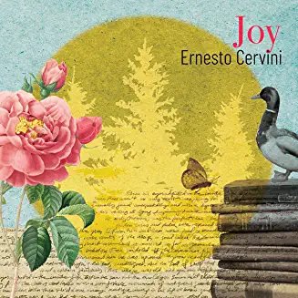 Ernesto Cervini - Joy