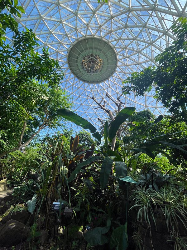 Mitchell Park tropical dome