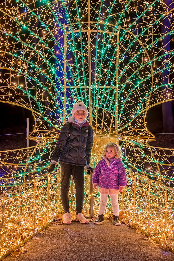 Wild Lights at the Milwaukee County Zoo