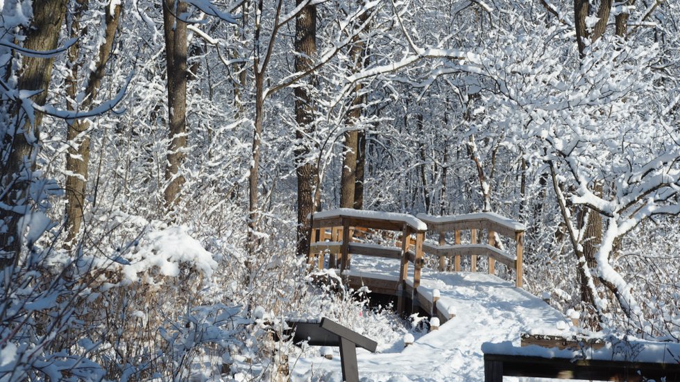 Wehr Nature Center