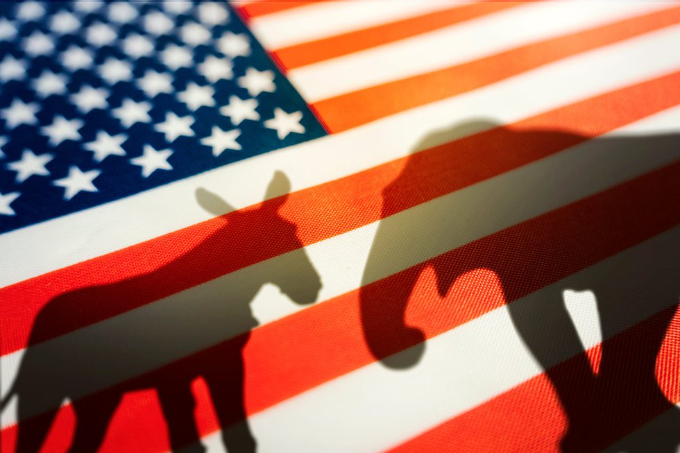 Donkey and elephant shadows on US flag