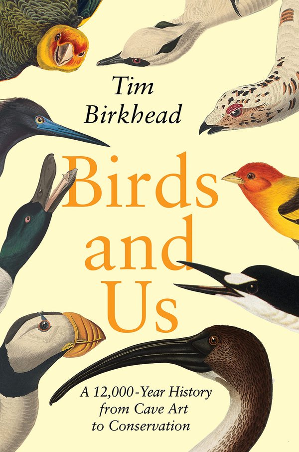 'Birds and Us' by Tim Birkhead