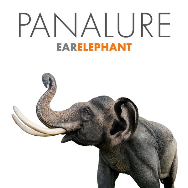 'EarElephant' by Panalure