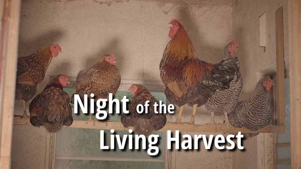 Night of the Living Harvest
