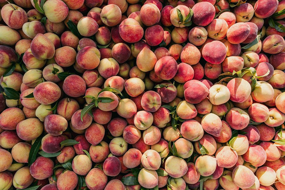 Tree-Ripe Fruit Co. peaches