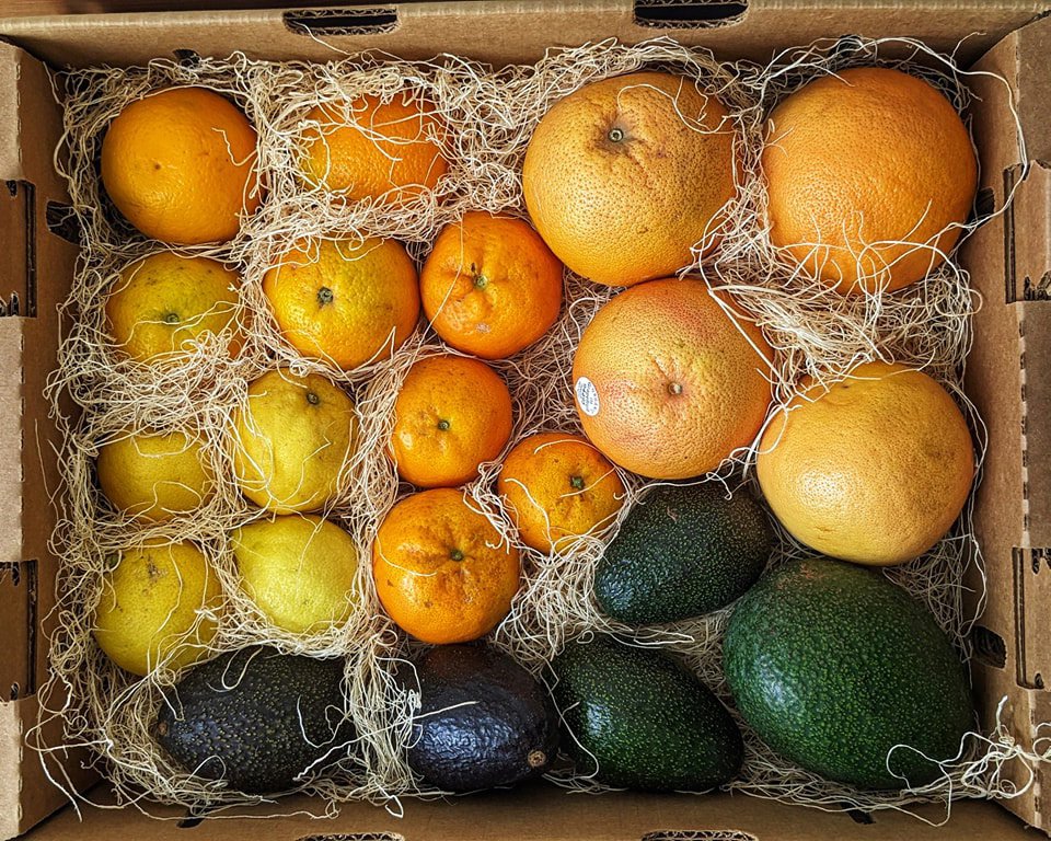 Tree-Ripe Fruit Co. fruit box