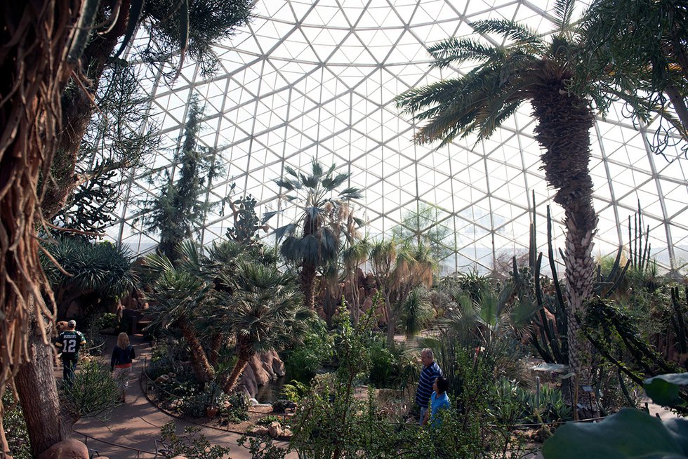 Desert Dome at Mitchell Park Domes
