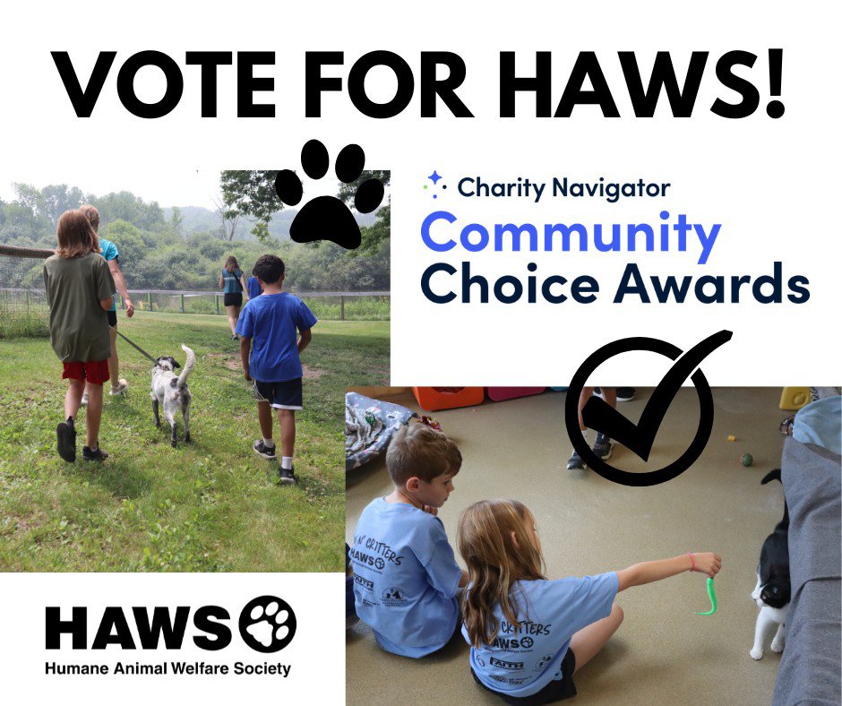 HAWS Voting