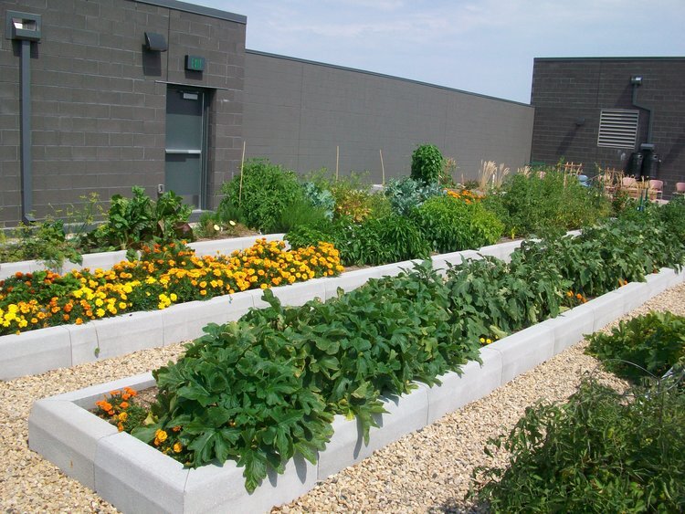 Core El Centro rooftop garden