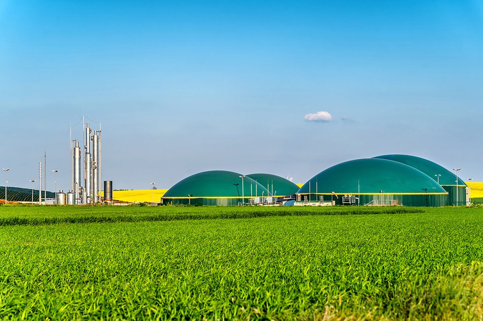 Biogas plant next to a rapeseed field.