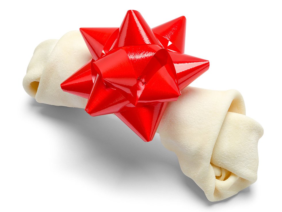 Rawhide chew gift