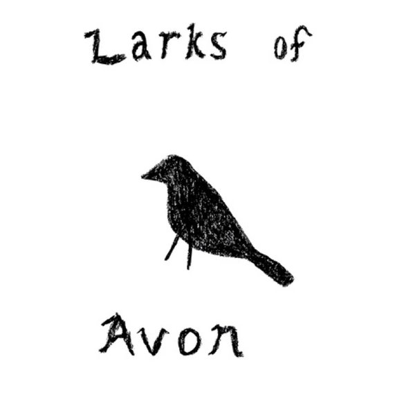 Larks of Avon by Jeff Lescher