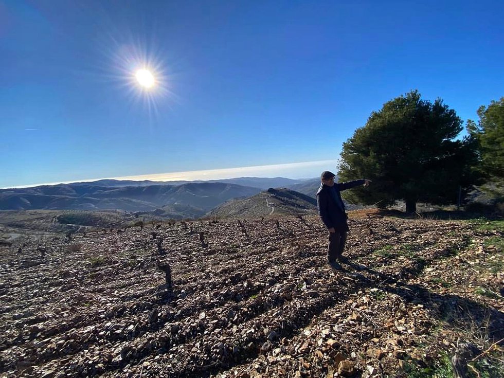 Manuela Valenzuela at his vineyard