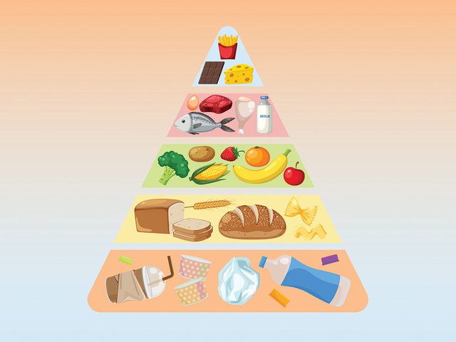 Food pyramid with plastics