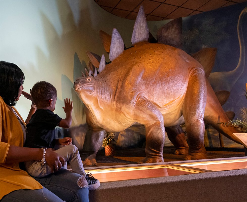 Milwaukee Public Museum dinosaur exhibit