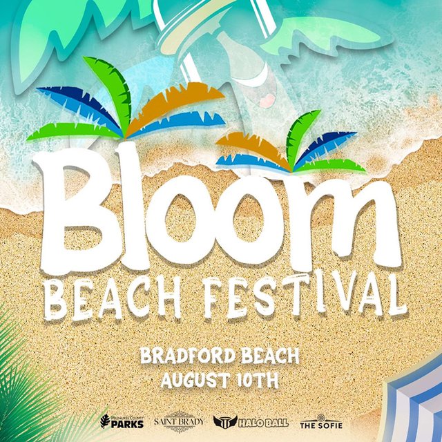Bloom Beach Festival banner