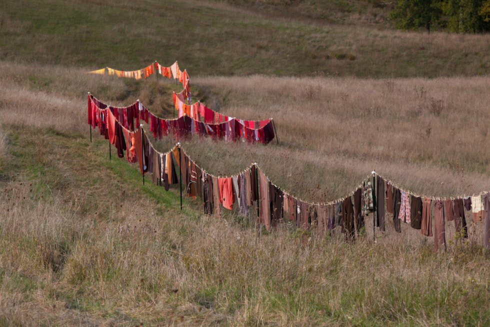 "Monday is Wash Day" by Brenda Baker, 2015