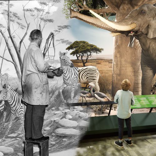 Milwaukee Public Museum - Past/Future