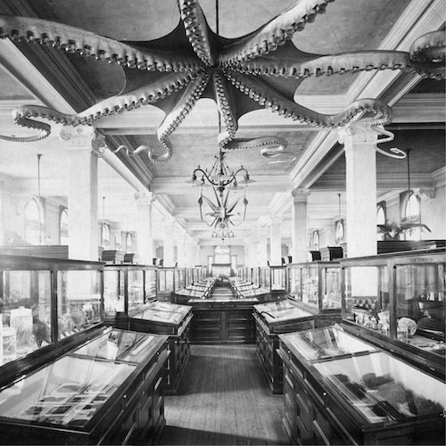 Milwaukee Public Museum - library