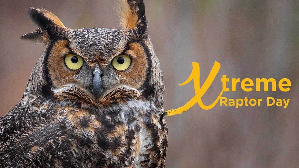 Schlitz Audubon Xtreme Raptor Day banner